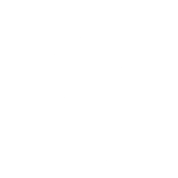 Caio Trevisan Art